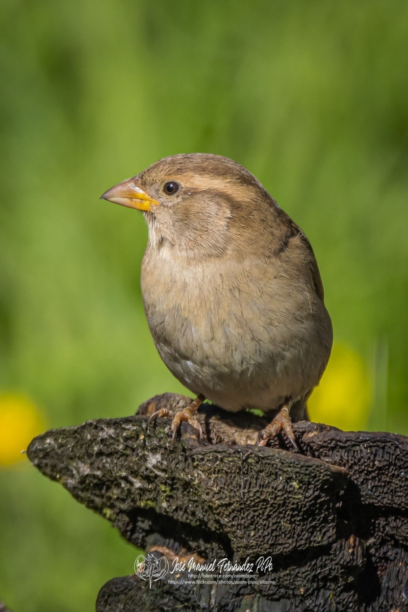 51048917847_02c1510abf_or