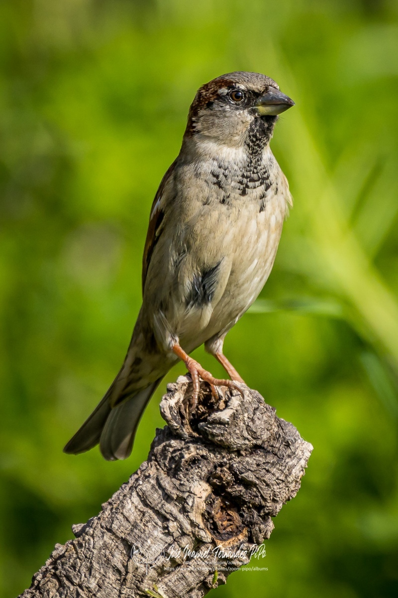 51080593858_690610507f_or