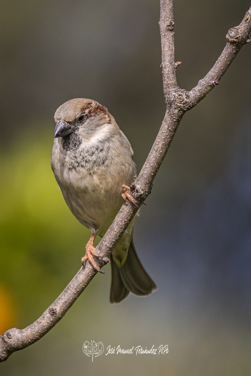 51081190516_aebf0cdc1c_or