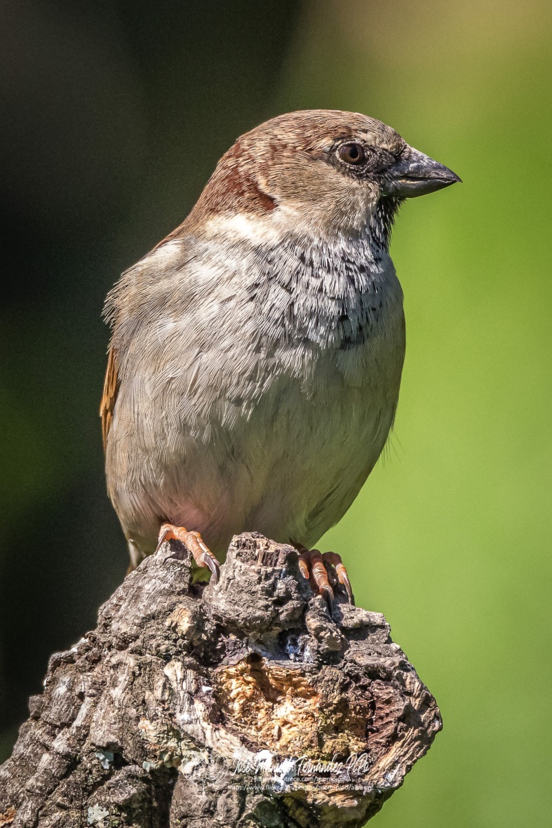 51081277241_7c8496ff22_or