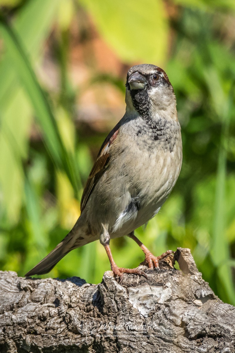 51081277671_4d58816769_or