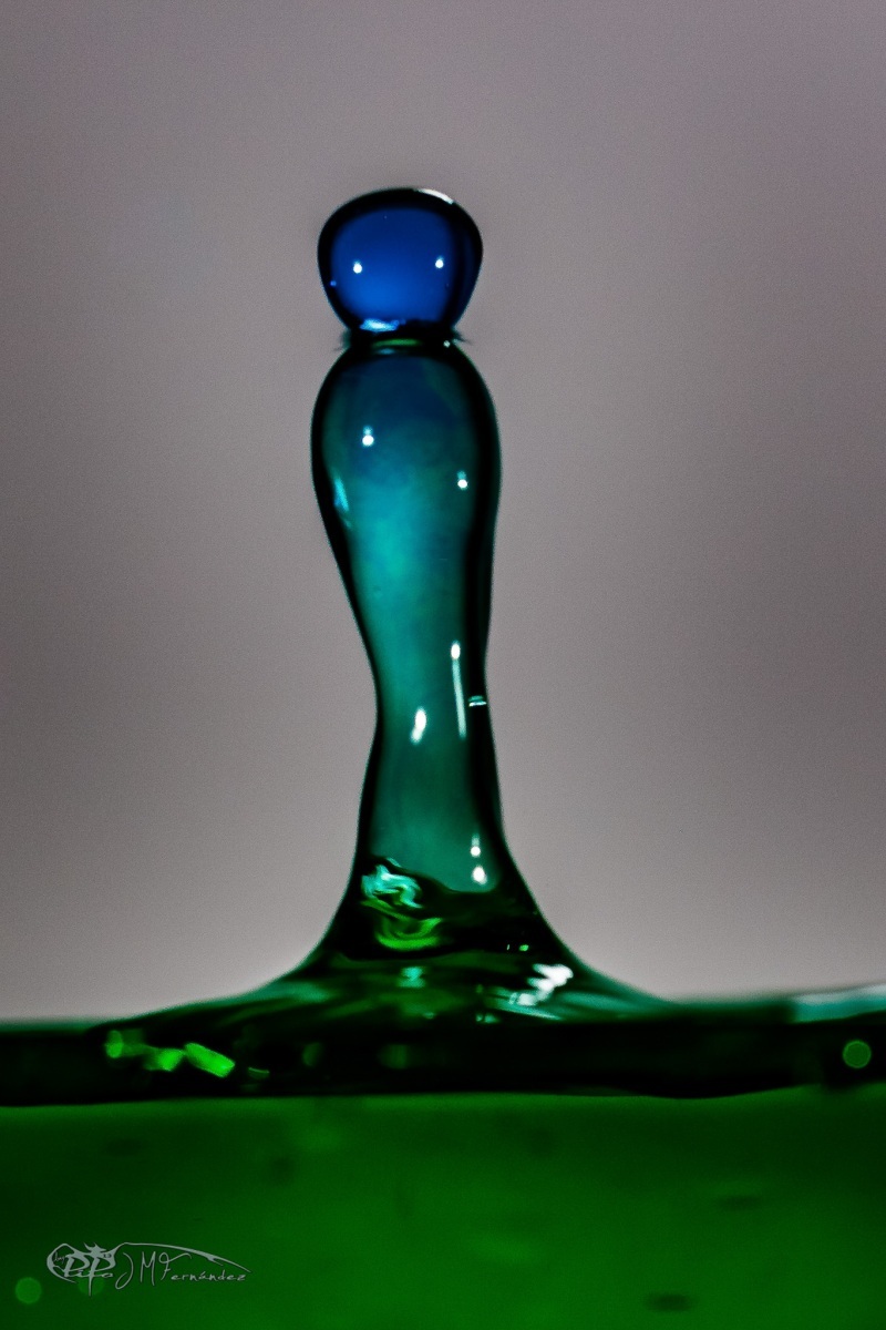 27470799877_f4d6721ea4_or