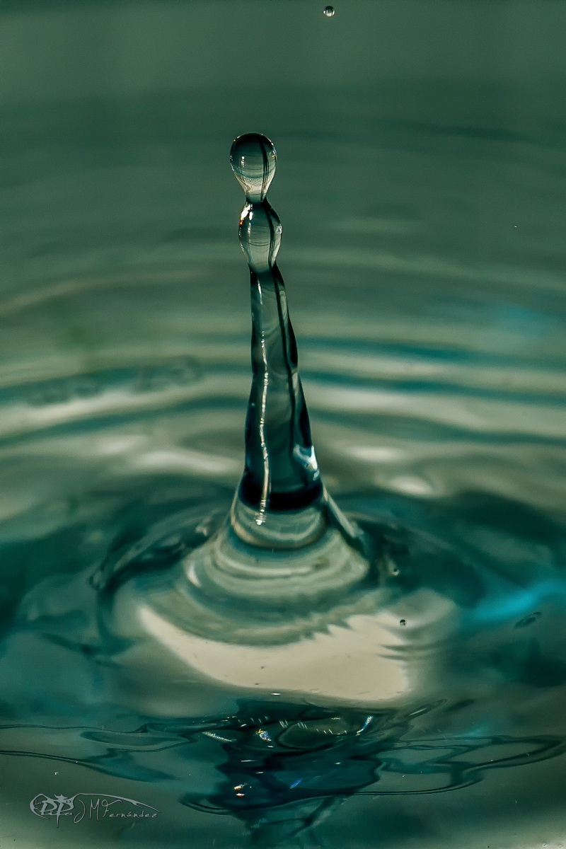 38991536430_c046f5c8e6_or