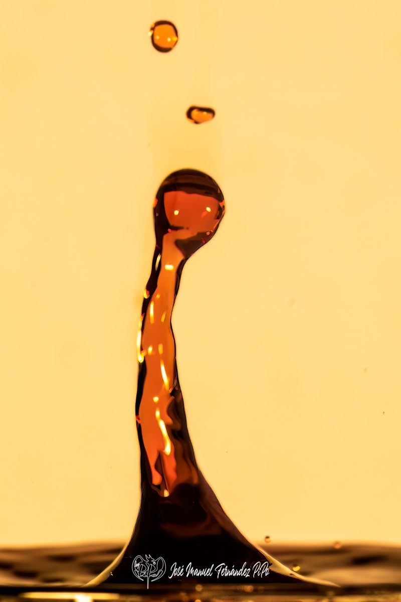 PiPo_469640-Editarrlr