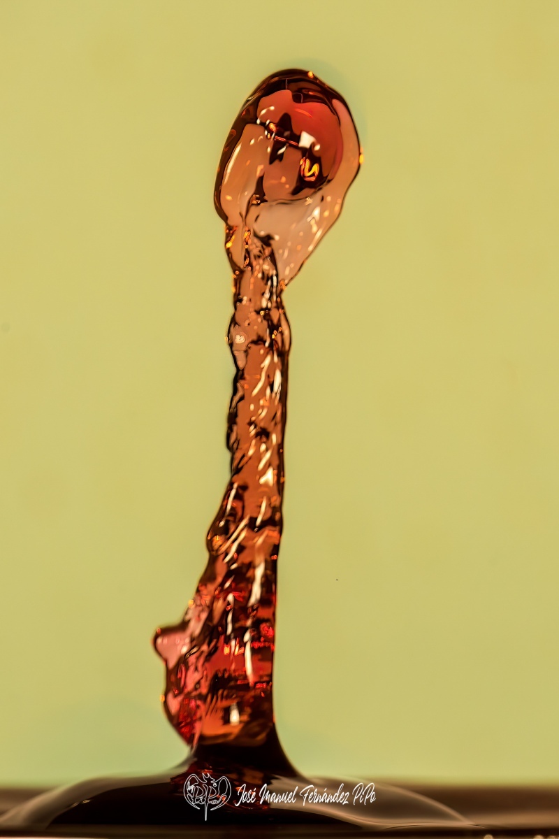 PiPo_469973-Editarrlr
