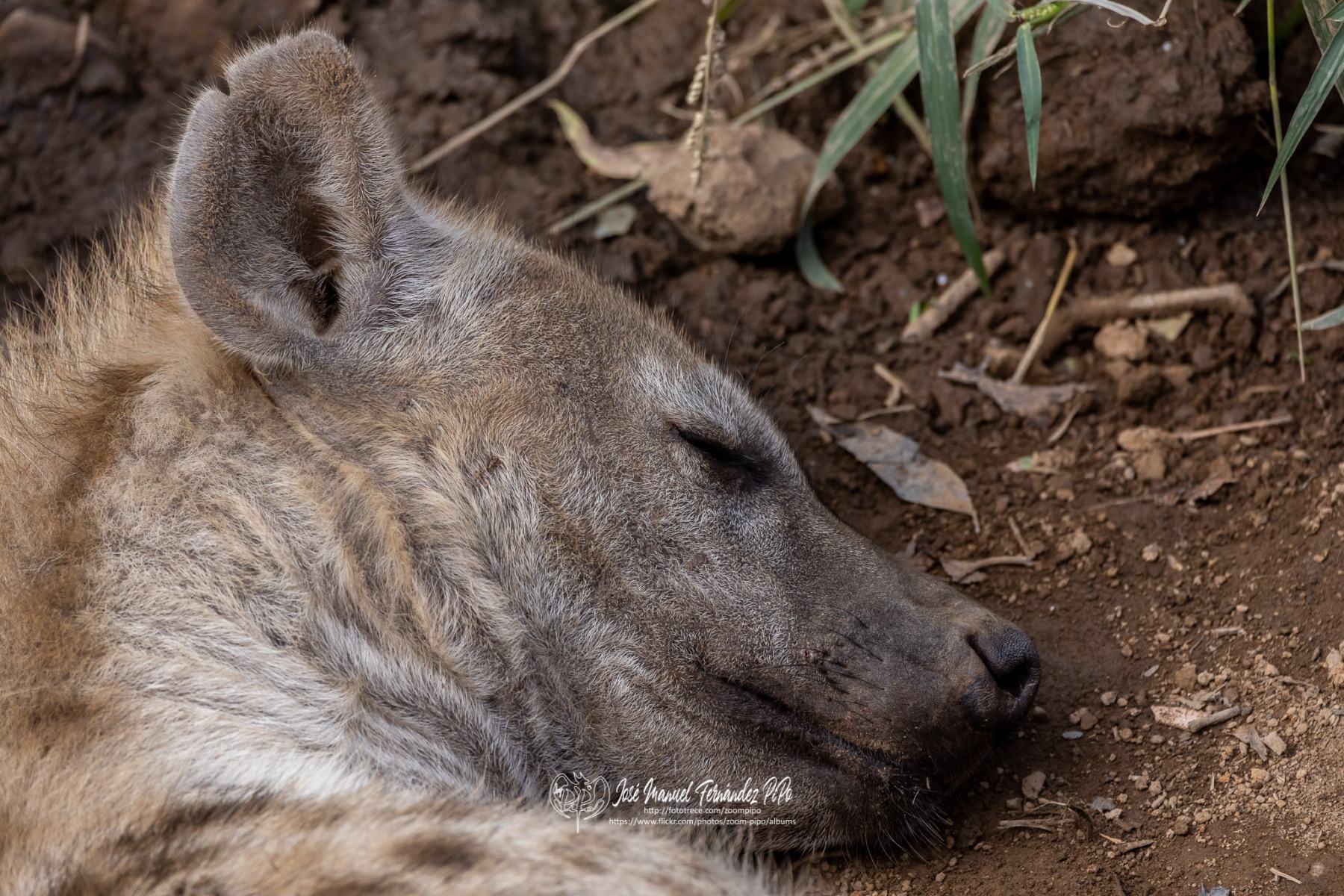 49208003106_ff07dd276d_o