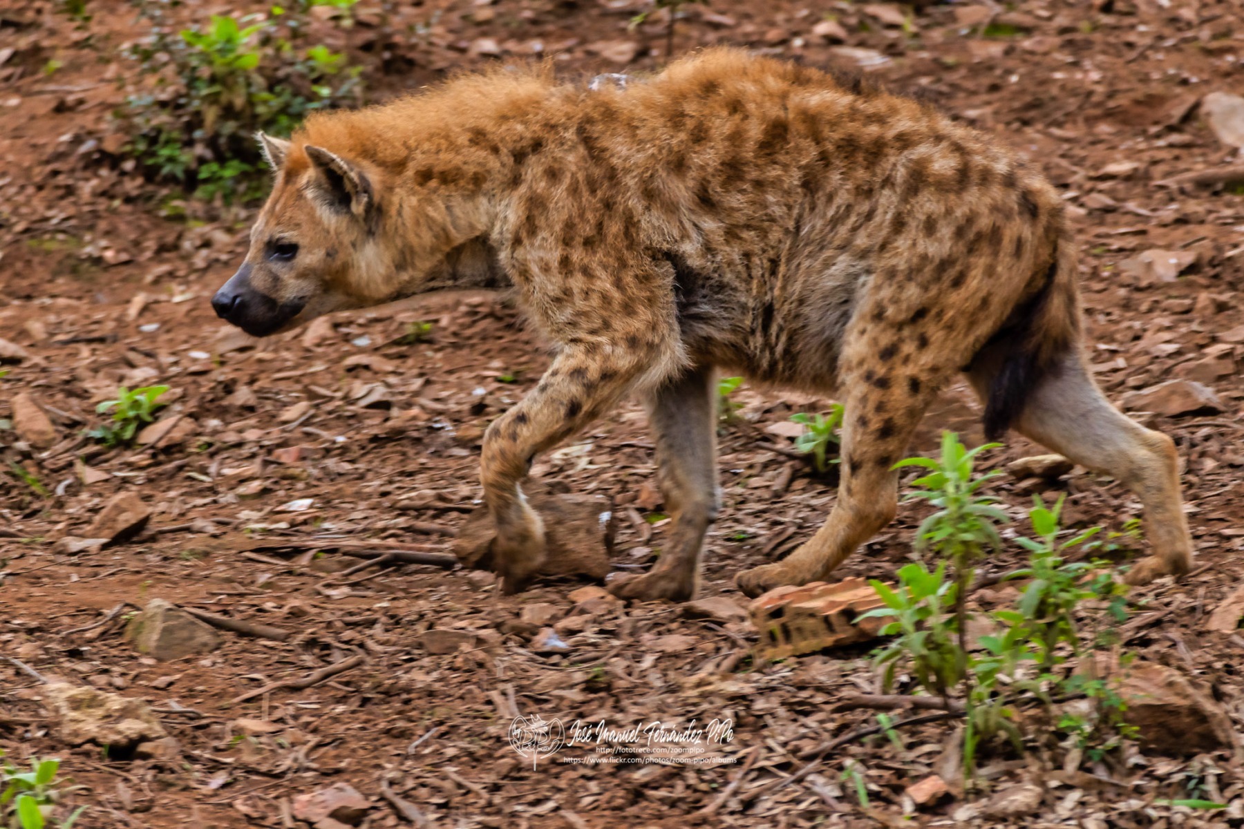 49557538973_658053a265_o