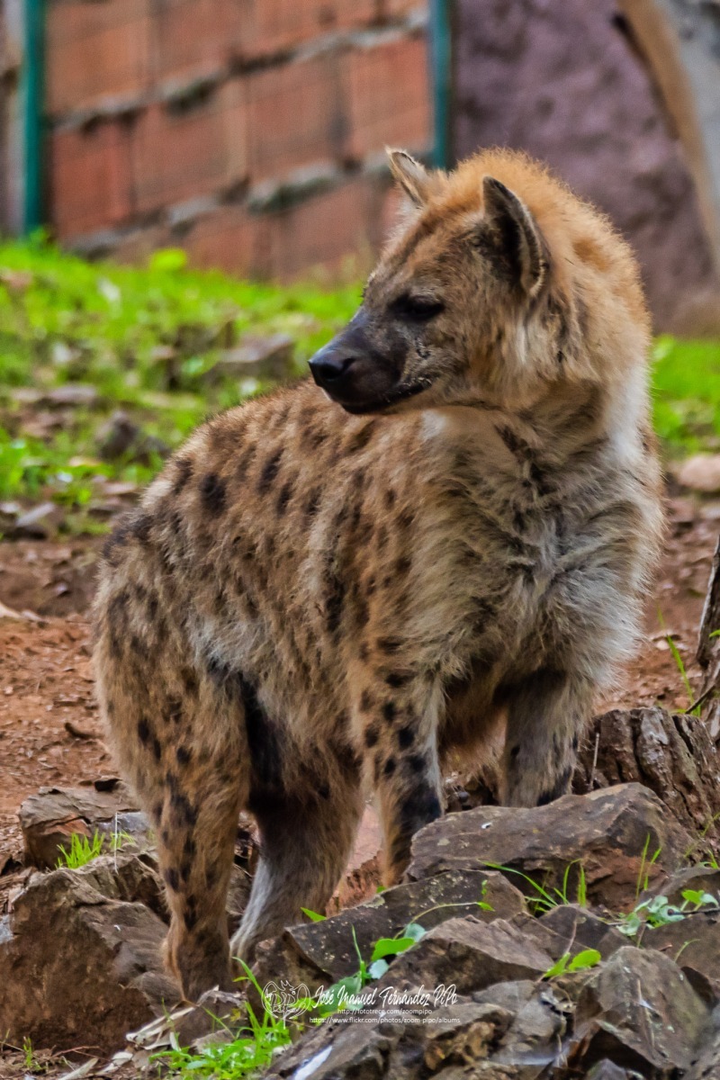 49557539028_2cc4397001_o