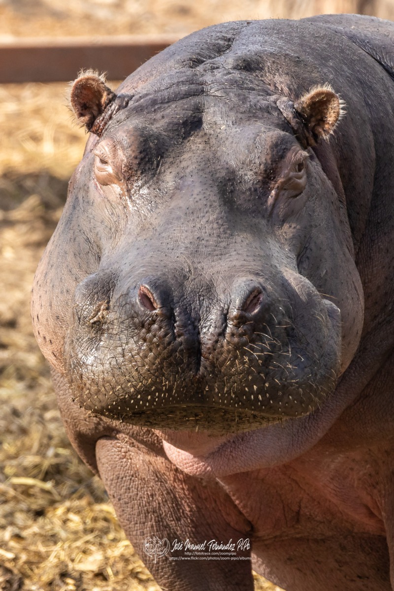 49741934993_83ba301016_o