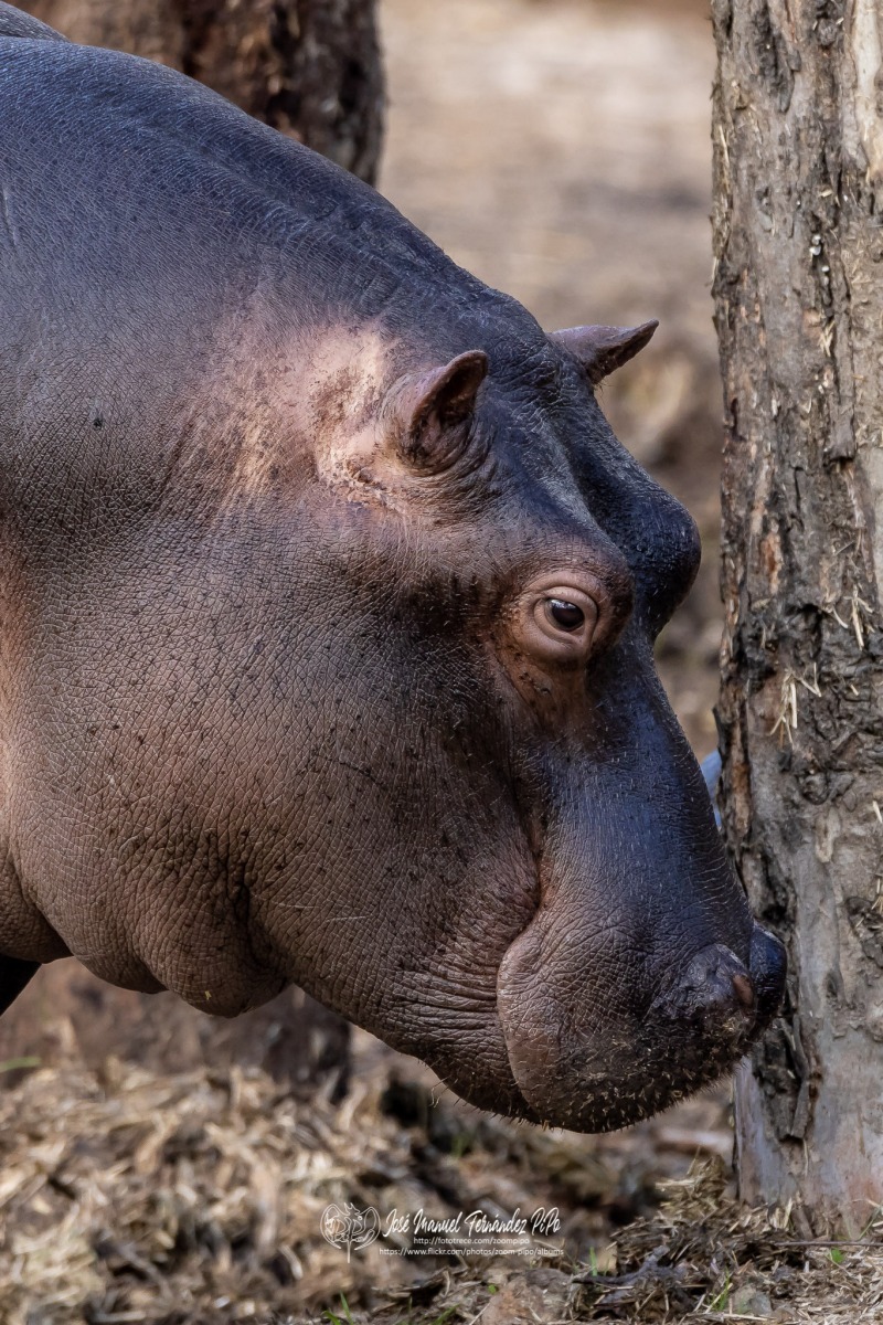 49742808692_efab879728_o