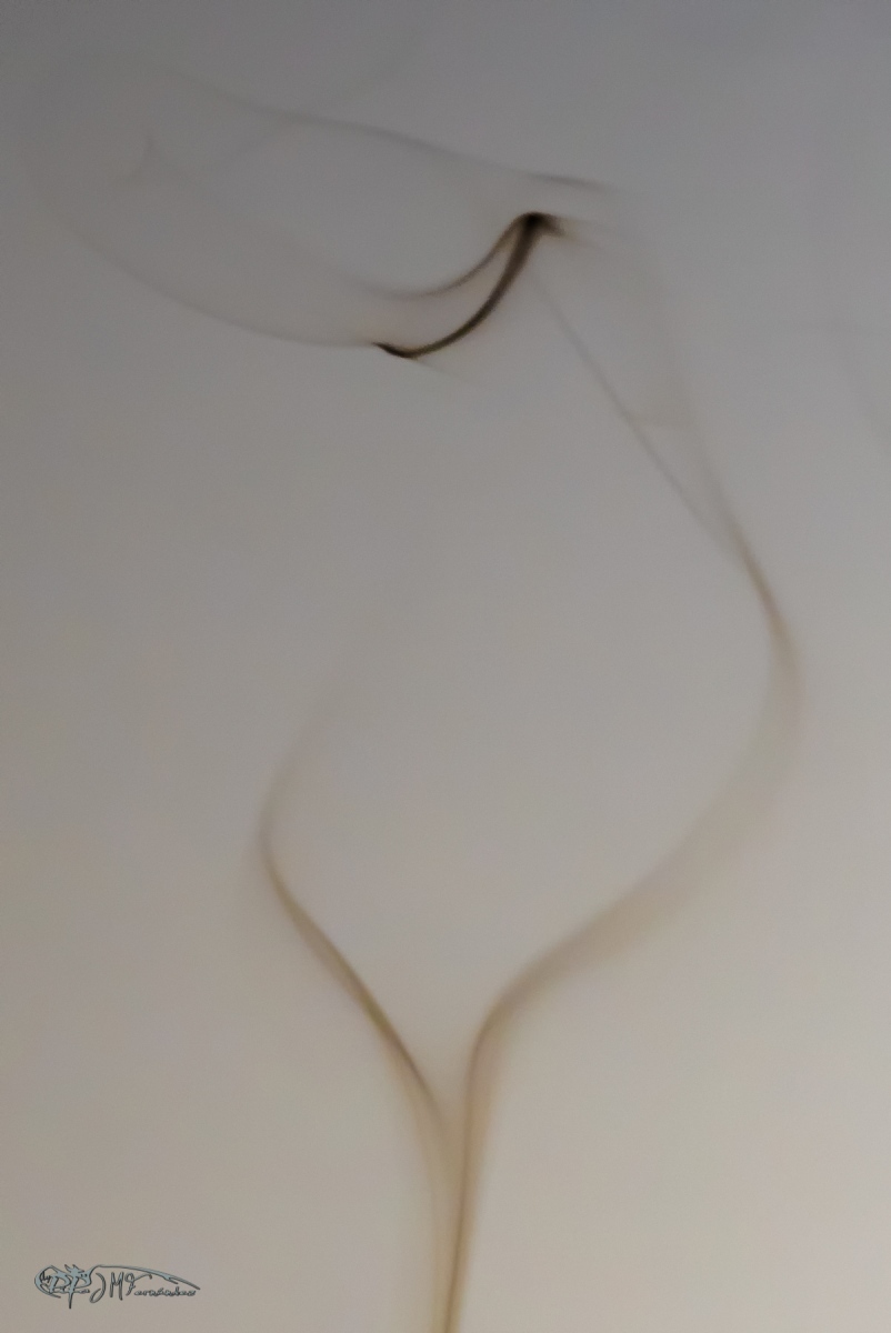 33183567732_c6fc5fc35d_o
