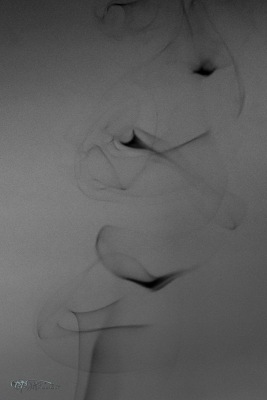 40719203893_9f5ce2c5a9_o