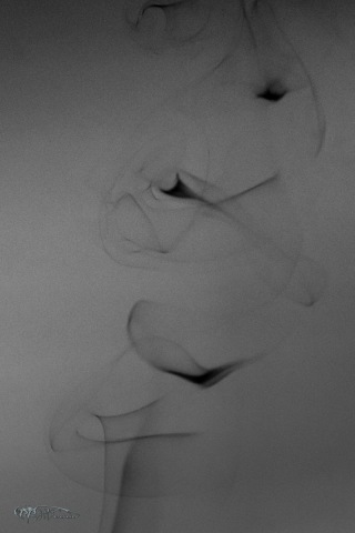 40719203893_9f5ce2c5a9_o