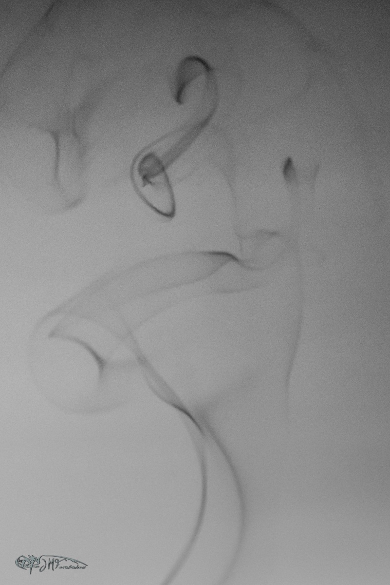 46769489195_865a0152a1_o