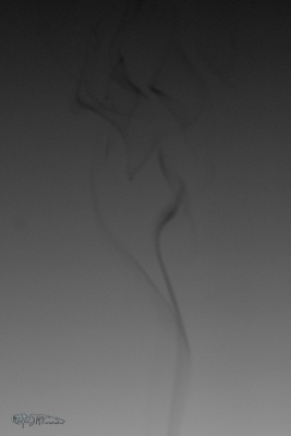 47632534192_553ccb8ee9_o