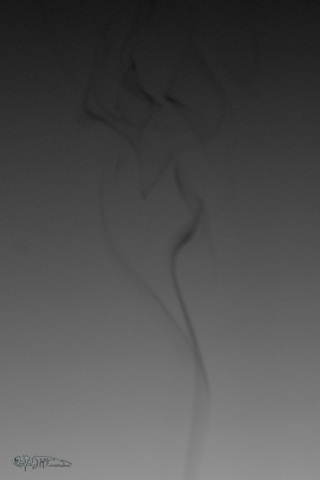 47632534192_553ccb8ee9_o