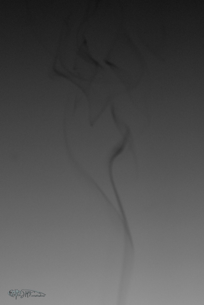 47632534192_553ccb8ee9_o