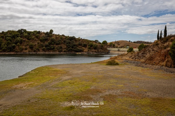 PIPO8791-Editar-Editar