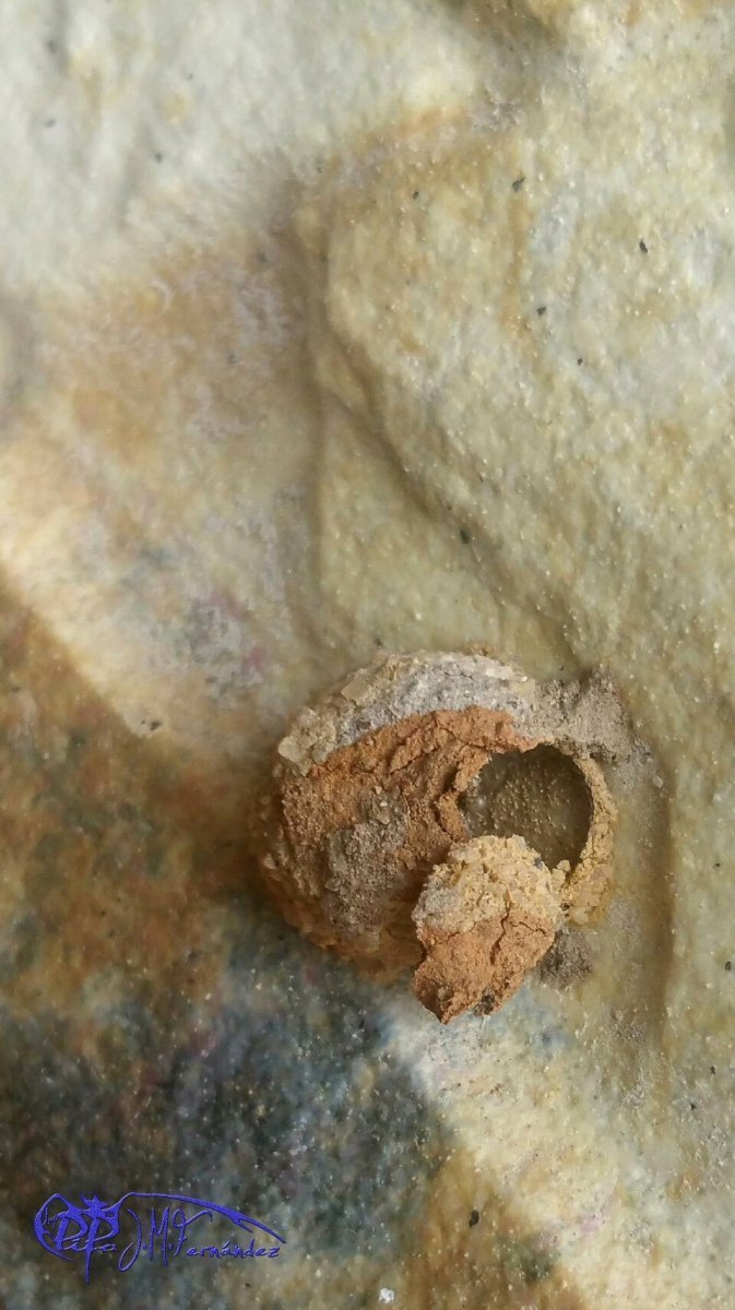 25909467756_09a6f71cc6_o