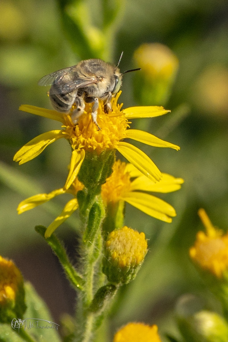 31236876858_27642bb194_o