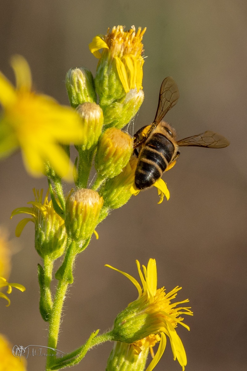 45110648371_0772658720_o