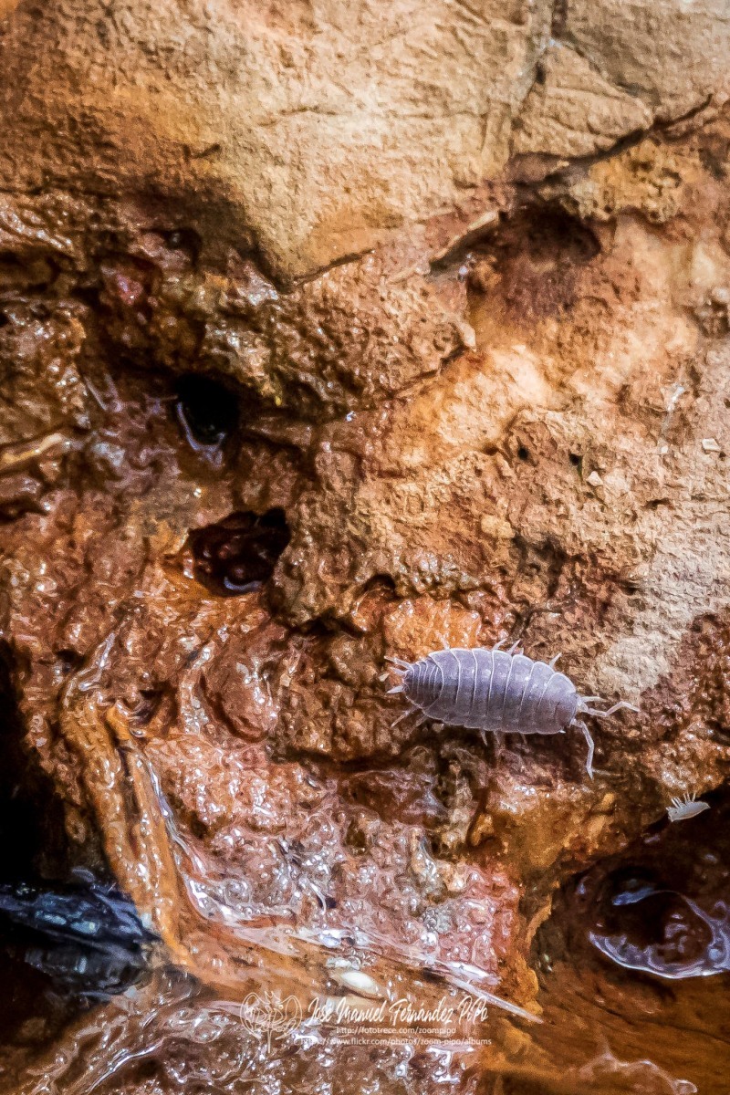 50100079831_f3a53353d2_o