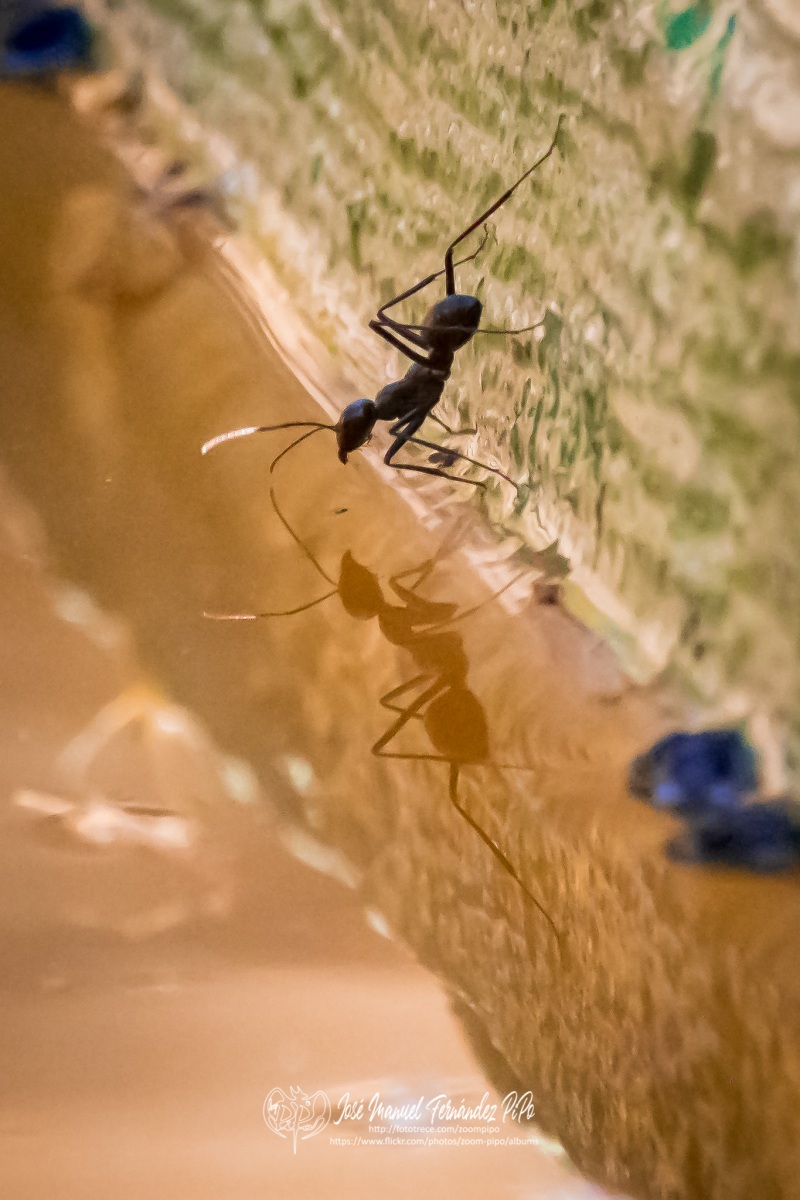 50100250277_2239ccd3a3_o