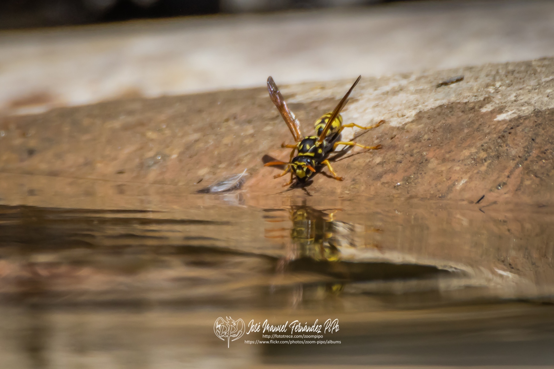 50259416117_53c6bc2900_o