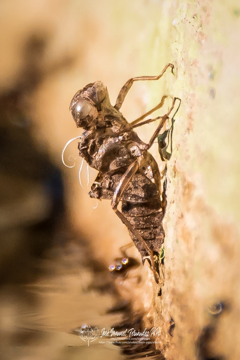 50323192841_03e4dcd107_o