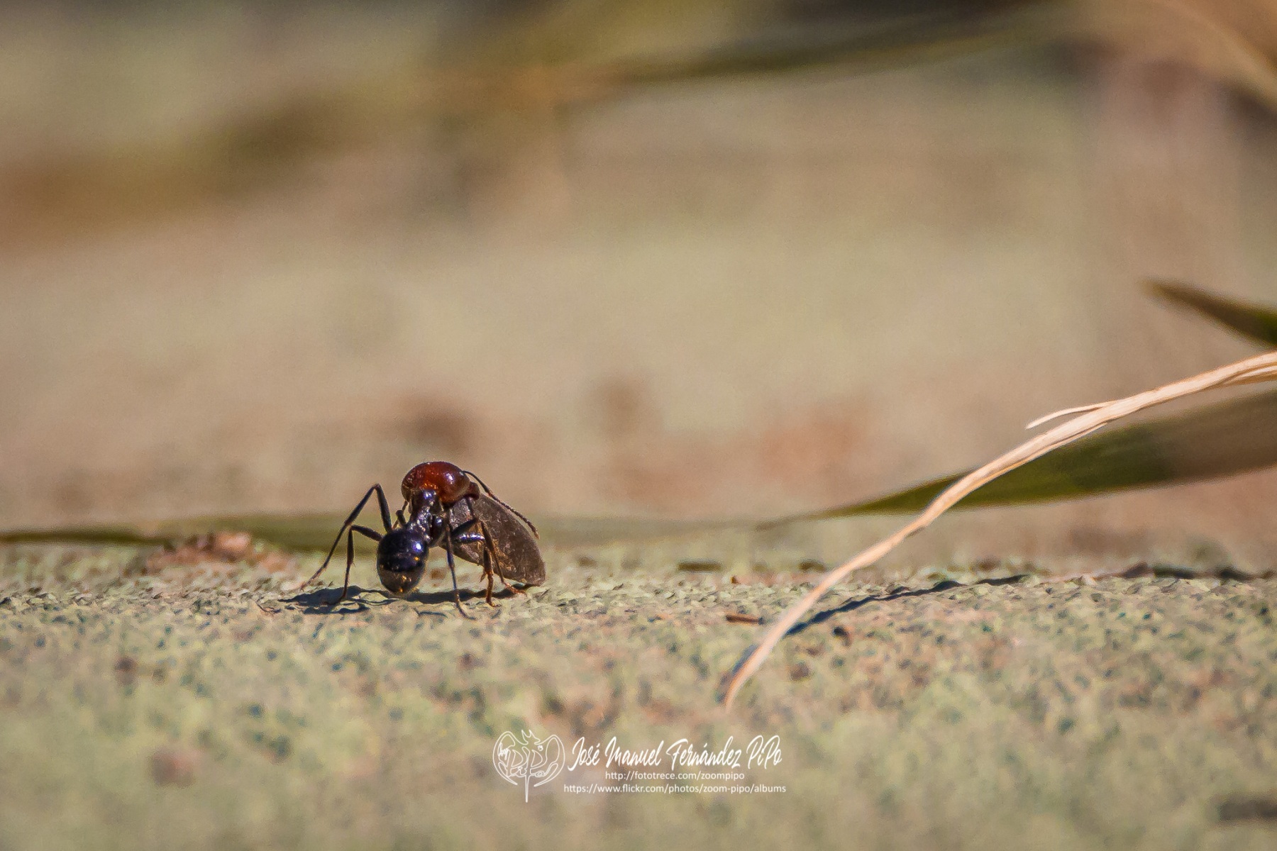 50539167443_670292e706_o