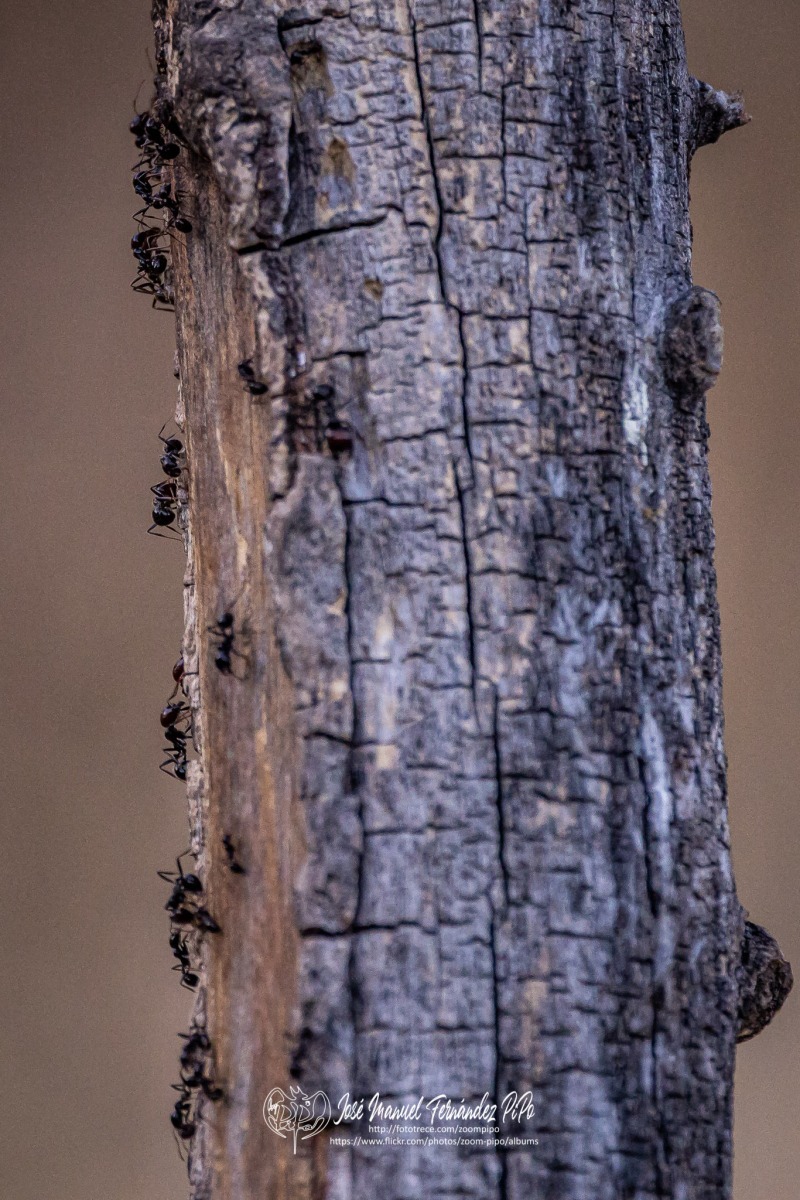 50539191493_d62b7fa3d6_o