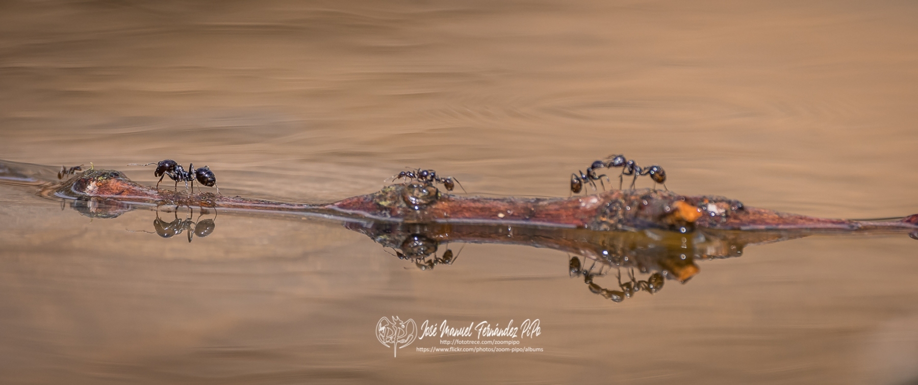 50757503693_5d5aa2790b_o