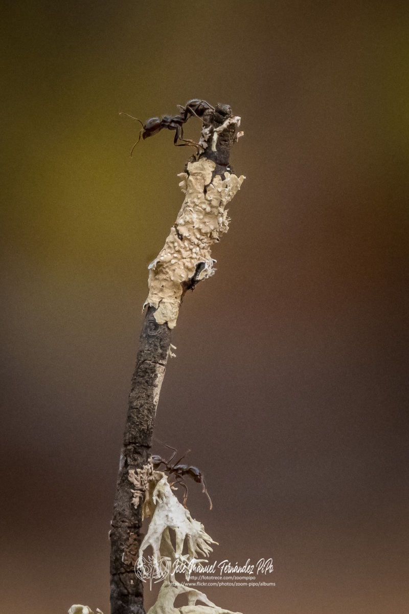 50932527642_09ef222508_o