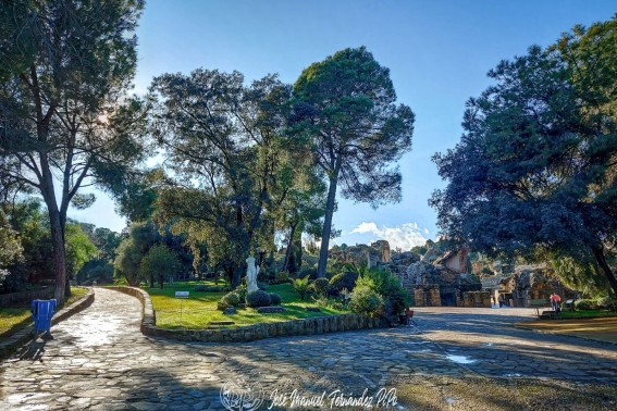 Italica 25-01-25