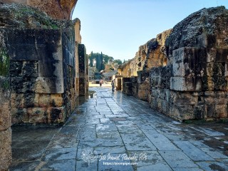 Italica 25-01-25