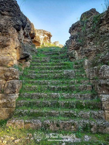 20250125_164301-E-Erl