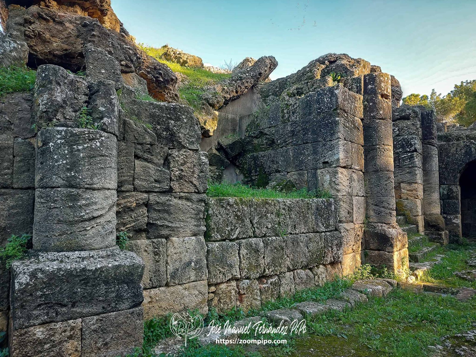20250125_164452-E-Erl