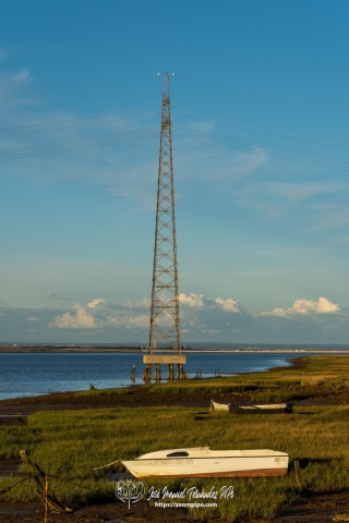 DSC1263