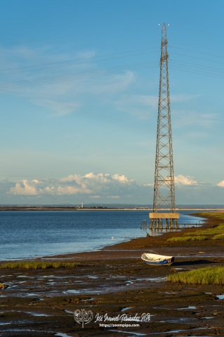 DSC1266