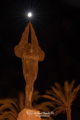 DSC1479