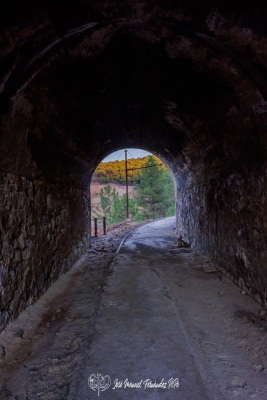 PiPo_711731-Erl
