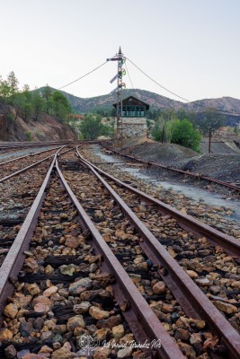 PiPo_711739-Erl