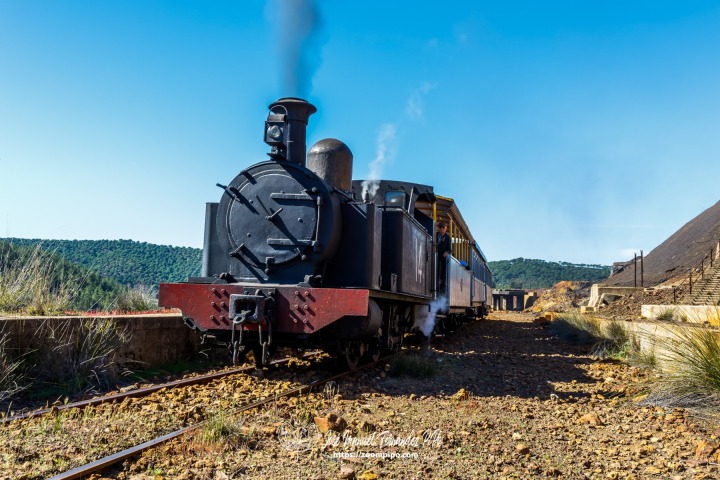 PiPo-25593