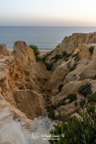 DSC4695