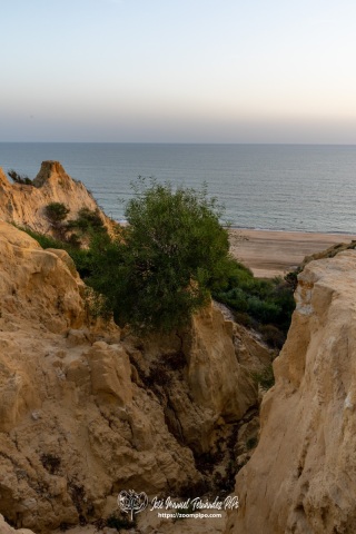 DSC4749
