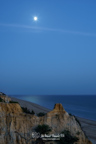 DSC4833