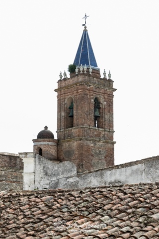 PiPo-31678-2