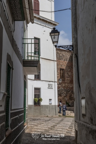 PiPo-31692
