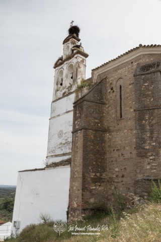 PiPo-31748