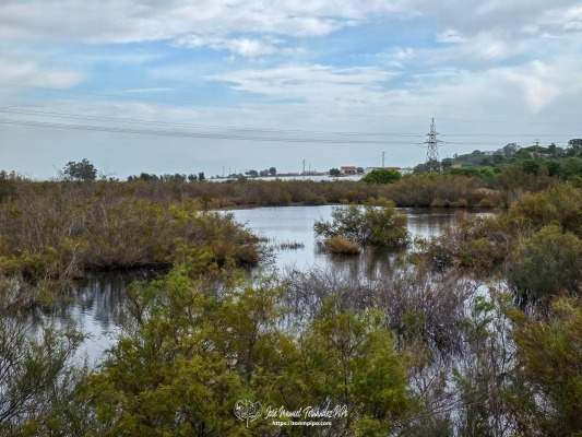 20251105_110132-E-E